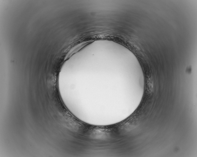 X0000089890657200707262231