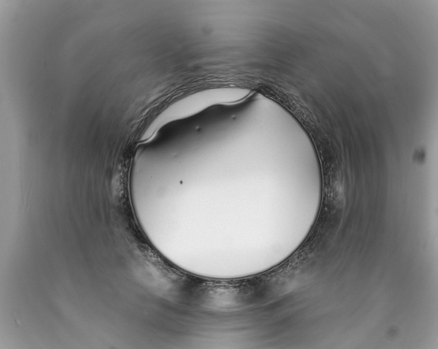 X0000089890658200707262231