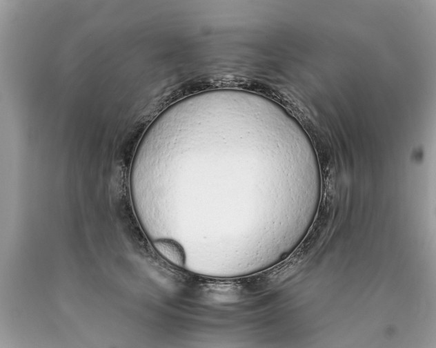 X0000089890659200707262231