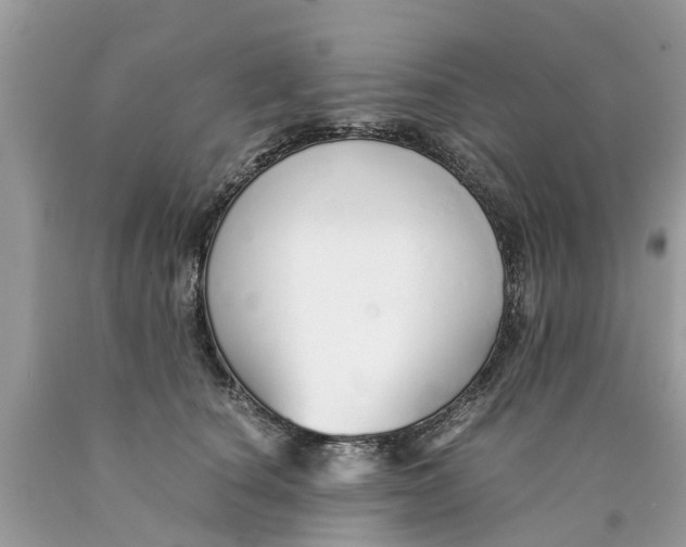 X0000089890660200707262231