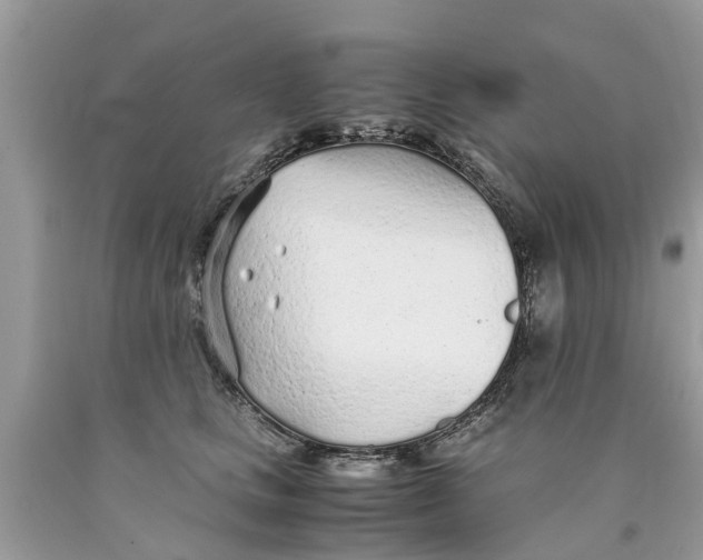 X0000089890661200707262231