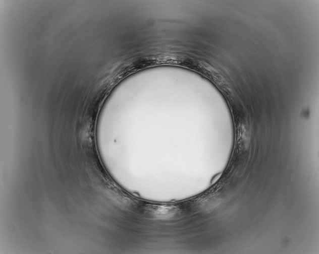 X0000089890663200707262231