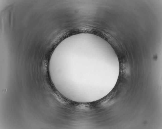 X0000089890664200707262231