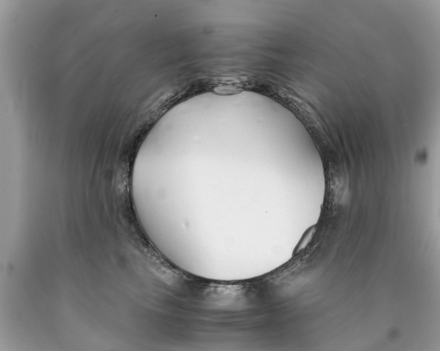 X0000089890665200707262231