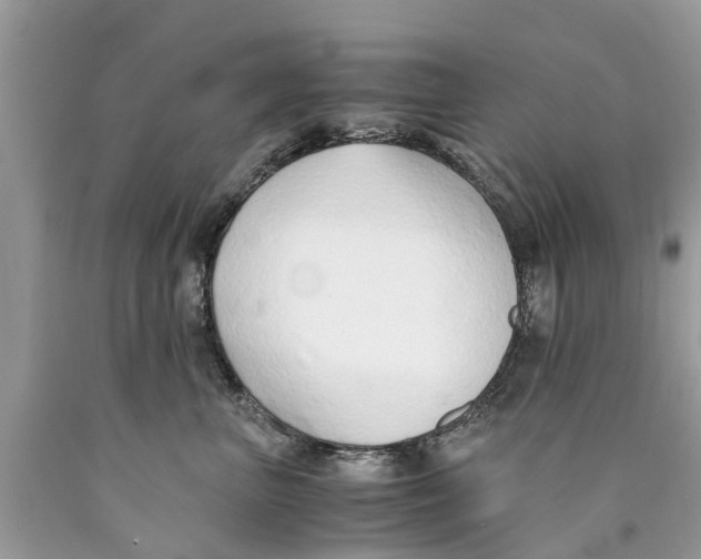 X0000089890667200707262231