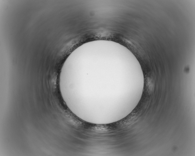 X0000089890668200707262231