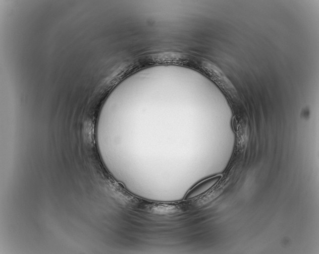X0000089890669200707262231