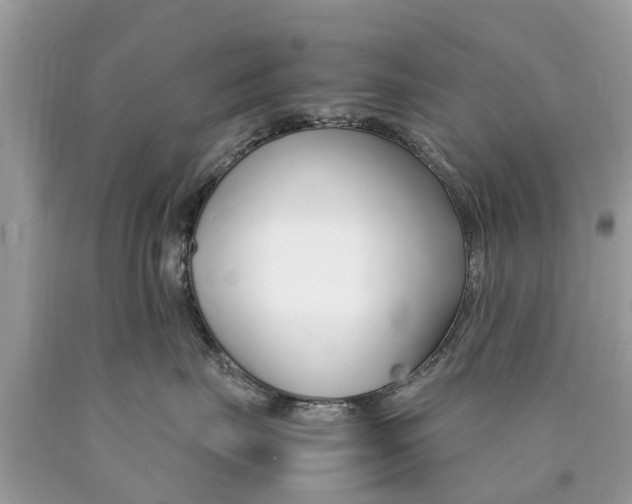 X0000089890671200707262231