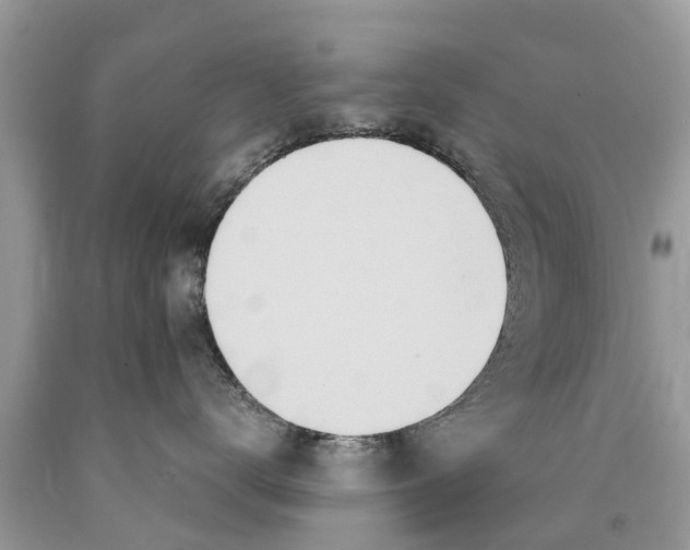 X0000089890672200707262231