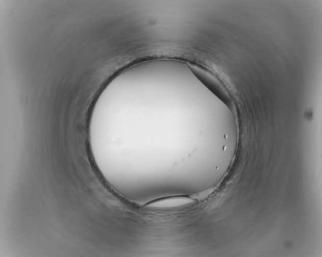 X0000089890673200707262230