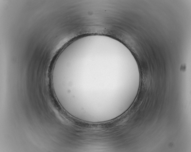 X0000089890674200707262230
