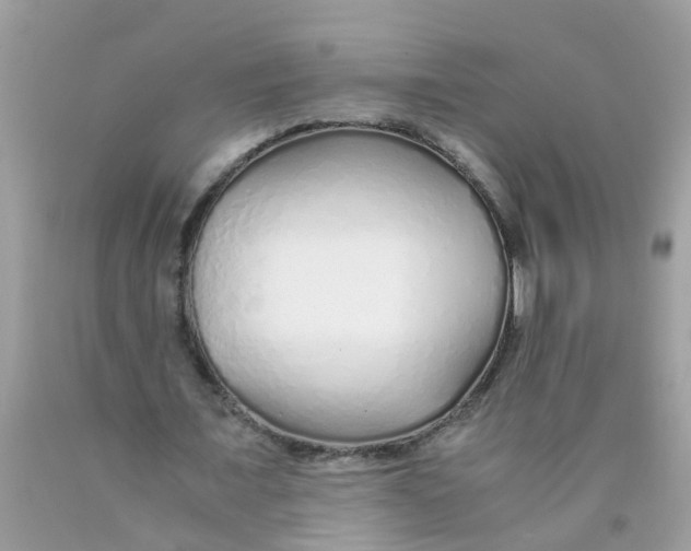 X0000089890675200707262230