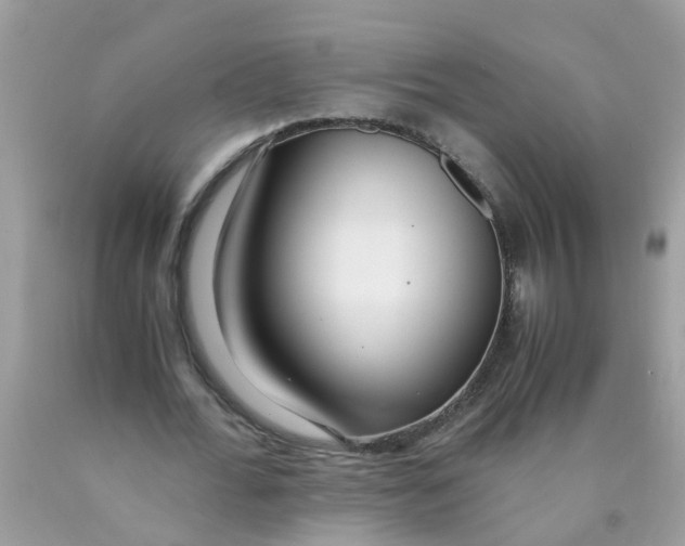 X0000089890676200707262230