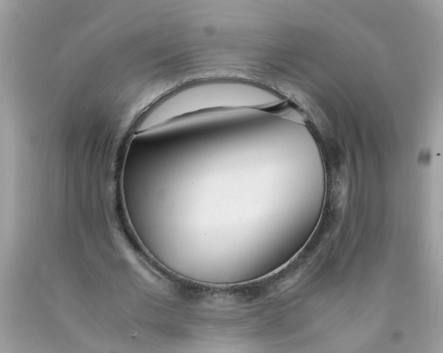 X0000089890677200707262230