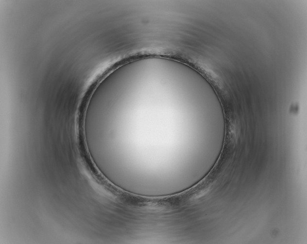X0000089890678200707262230