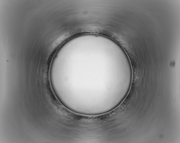 X0000089890679200707262230