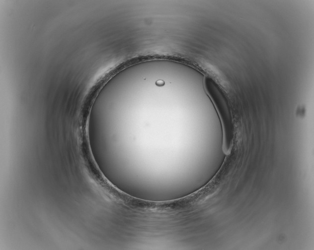 X0000089890680200707262230