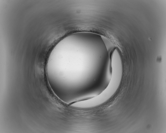 X0000089890681200707262230