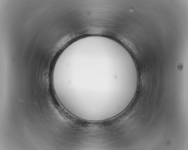 X0000089890682200707262230
