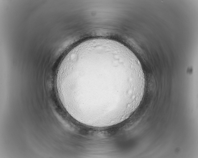 X0000089890683200707262230