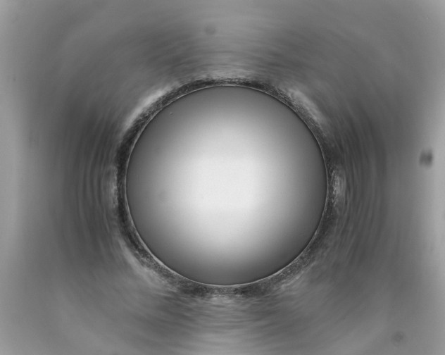 X0000089890684200707262230