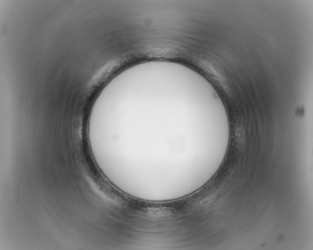 X0000089890686200707262230