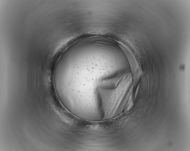 X0000089890688200707262230