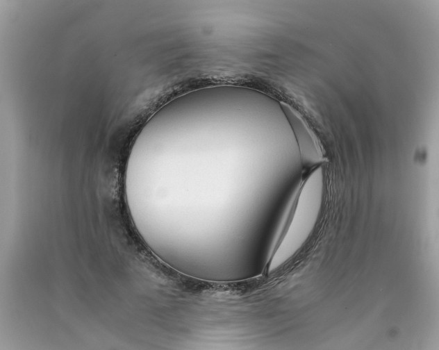 X0000089890689200707262230