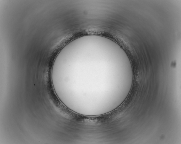 X0000089890690200707262230
