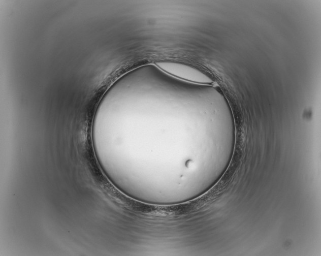 X0000089890691200707262230