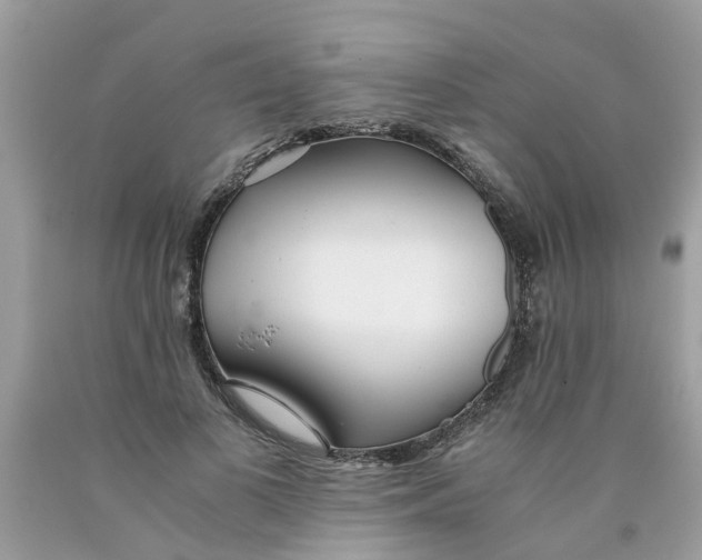 X0000089890693200707262230