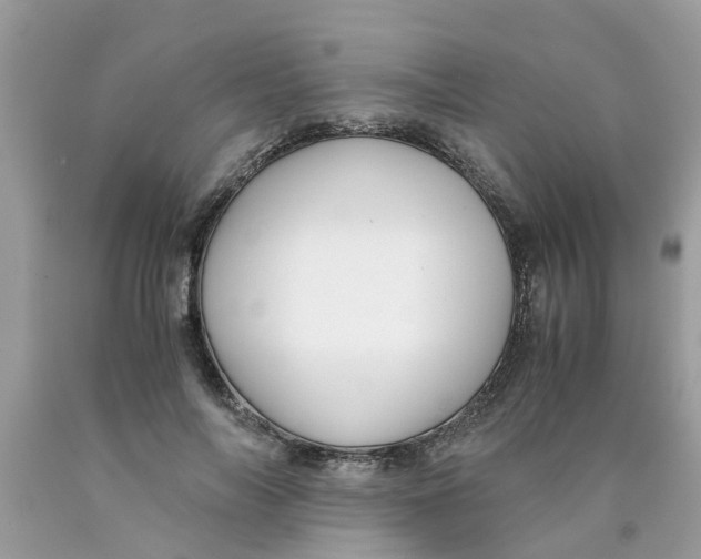 X0000089890694200707262230