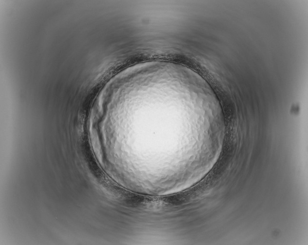 X0000089890695200707262230