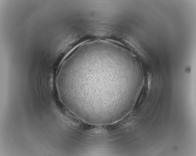 X0000089890696200707262230