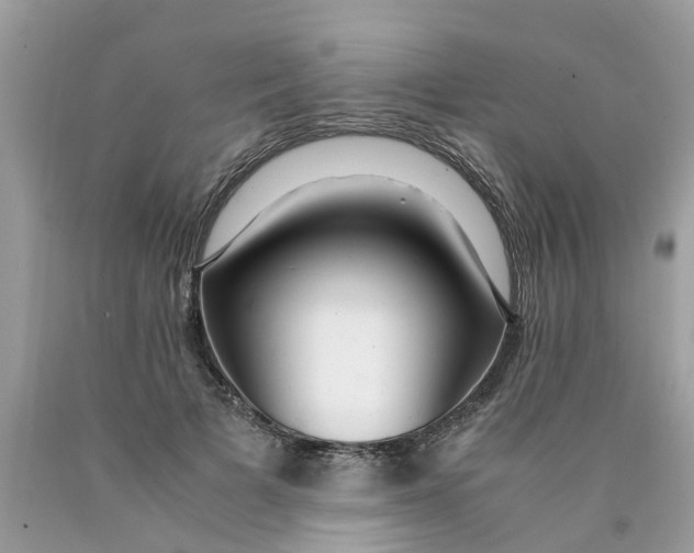 X0000089890697200707262230