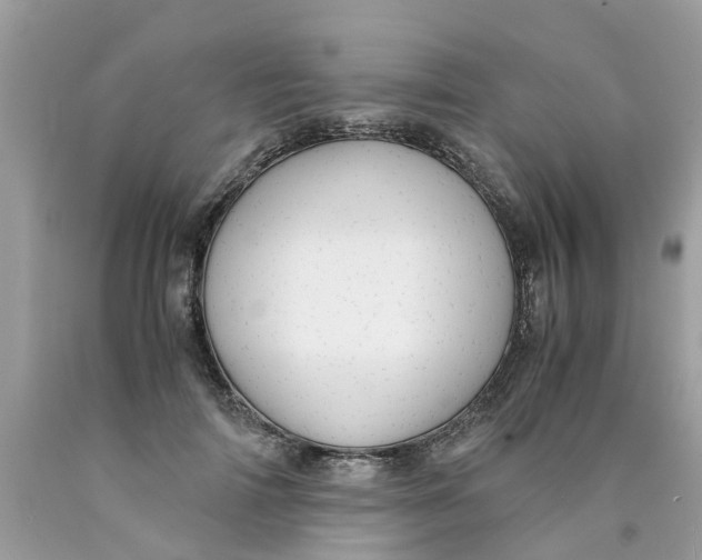 X0000089890698200707262230