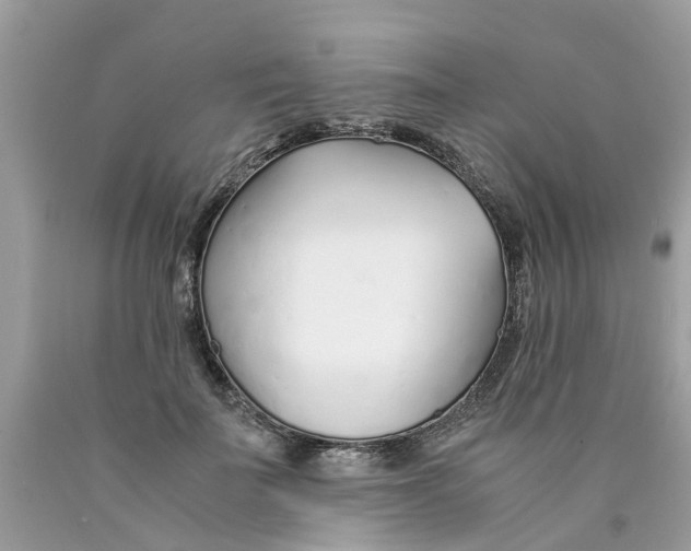 X0000089890699200707262230