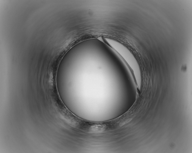 X0000089890700200707262230