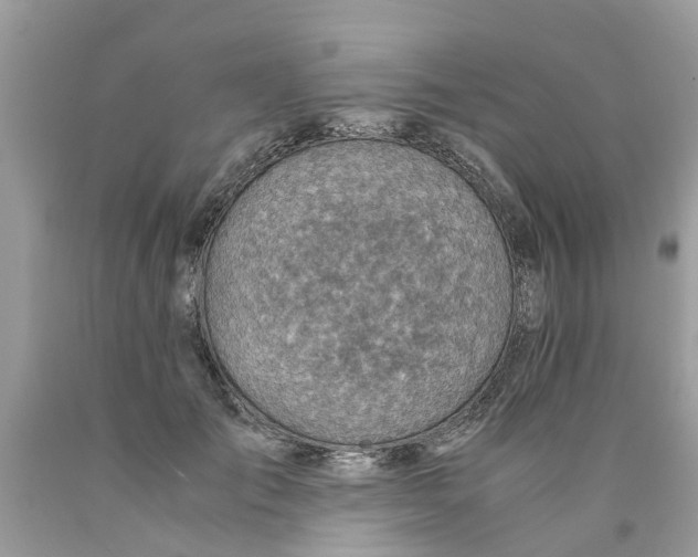 X0000089890701200707262230