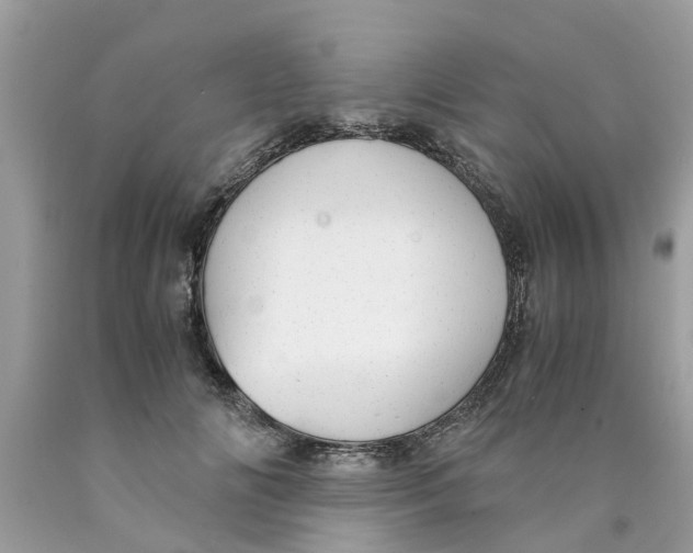 X0000089890702200707262230