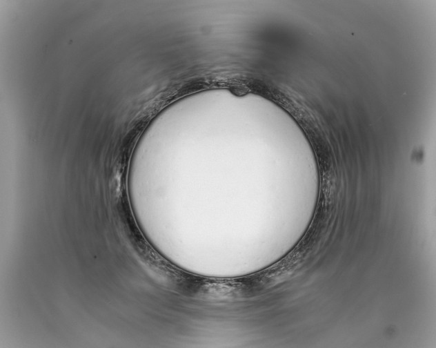 X0000089890703200707262230