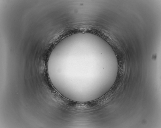 X0000089890704200707262230