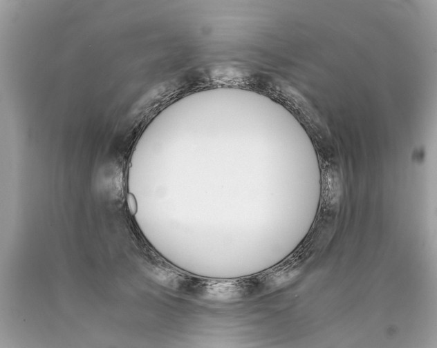 X0000089890705200707262230