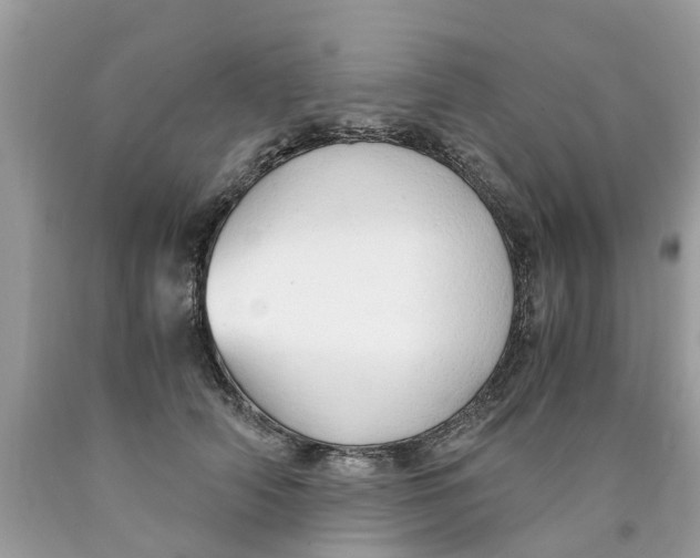X0000089890706200707262230