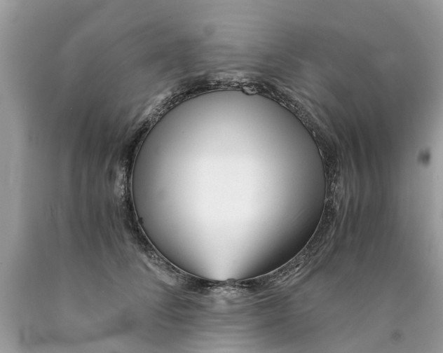 X0000089890708200707262230