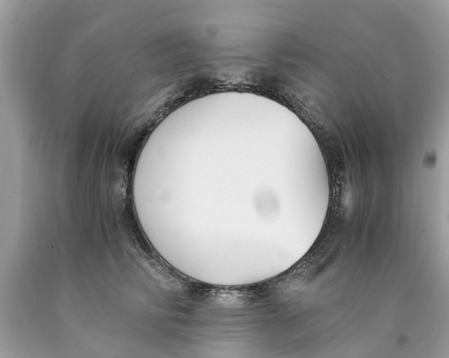 X0000089890710200707262230