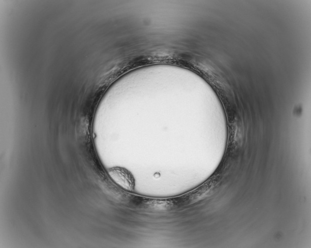 X0000089890711200707262230