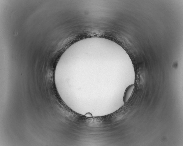 X0000089890714200707262230
