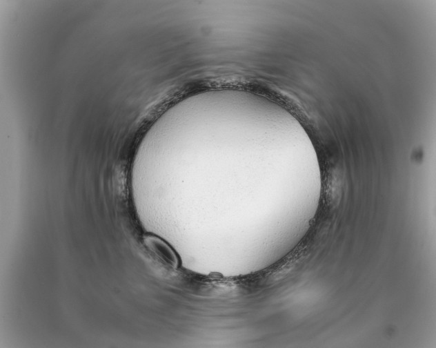 X0000089890715200707262230