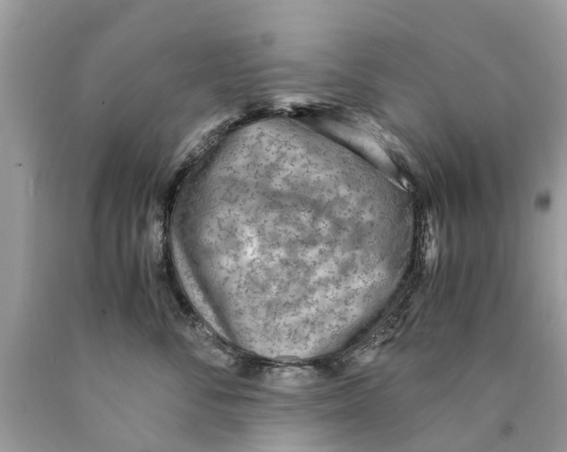 X0000089890716200707262230